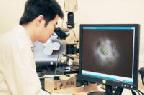 World's Most Powerful Optical Microscope: Microscope Could 'Solve the Cause of Viruses'